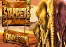La machine à sous Stampede annoncée par Betsoft Gaming