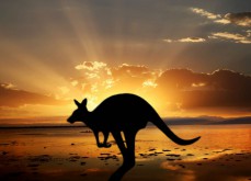 Les Australiens sont ceux qui dépensent le plus en jeux d'argent par an