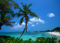Le Bahamas pourrait légaliser ses jeux de casino en ligne
