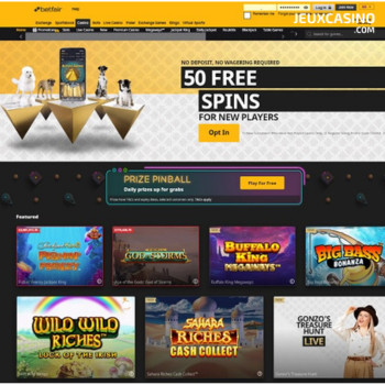 Addict au jeu, il vole 340£K et perd plus de 1£ million sur Betfair malgré l’auto-exclusion