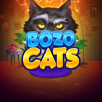 Playson lance sa machine à sous pour les amoureux des chats : Bozo Cats