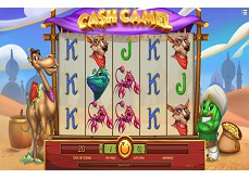 Cash Camel, le retour d'iSoftBet avec une machine à sous orientale