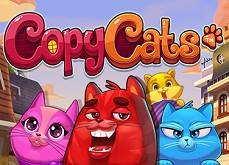Les chats toujours aussi populaires sur le net avec la machine à sous Copy Cats