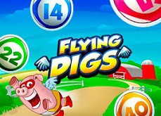 Vikings go Berzerk et nouveau jeu de video bingo gratuit avec Flying Pigs