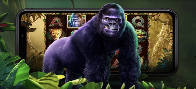 Pragmatic Play lance sa machine à sous tant attendue Gorilla Mayhem