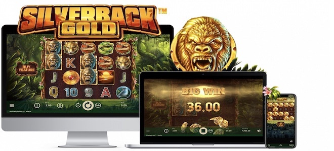Découvrez Silverback Gold, la nouvelle machine à sous vidéo de Net Entertainment !