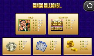 preview Bingo Billions 2