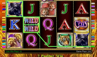 Gagner au casino roulette Gagner au casino roulette