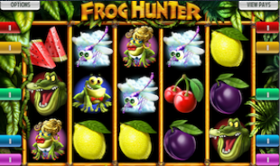 preview Frog Hunter 1