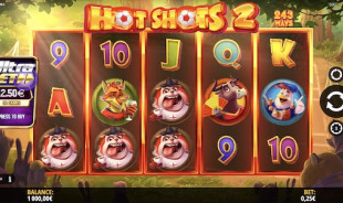 jeu Hot Shots 2