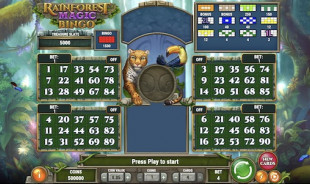 jeu Rainforest Magic Bingo