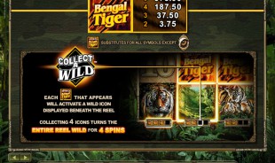 preview Untamed Bengal Tiger 2