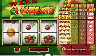 jeu Wild Melon