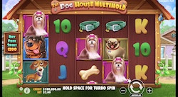 jeu The Dog House MultiHold