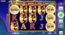 jeu Wolf Night: Hold and Win