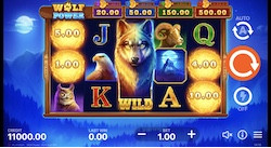 jeu Wolf Power: Hold and Win